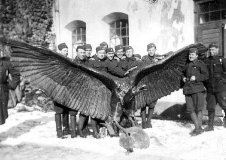 A levett turul a munkási várban cseh katonákkal a 20-as években. Jól érzékelhetők a madár hatalmas méretei