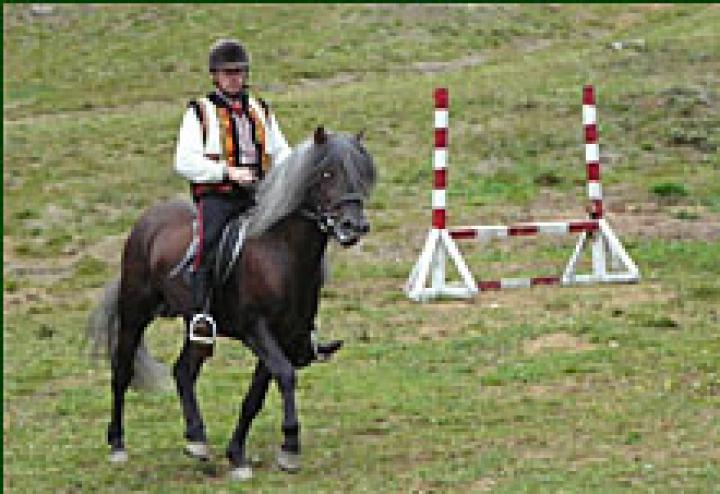 A győztes Vitalij Sztepanyuk és lova az akadálypályán