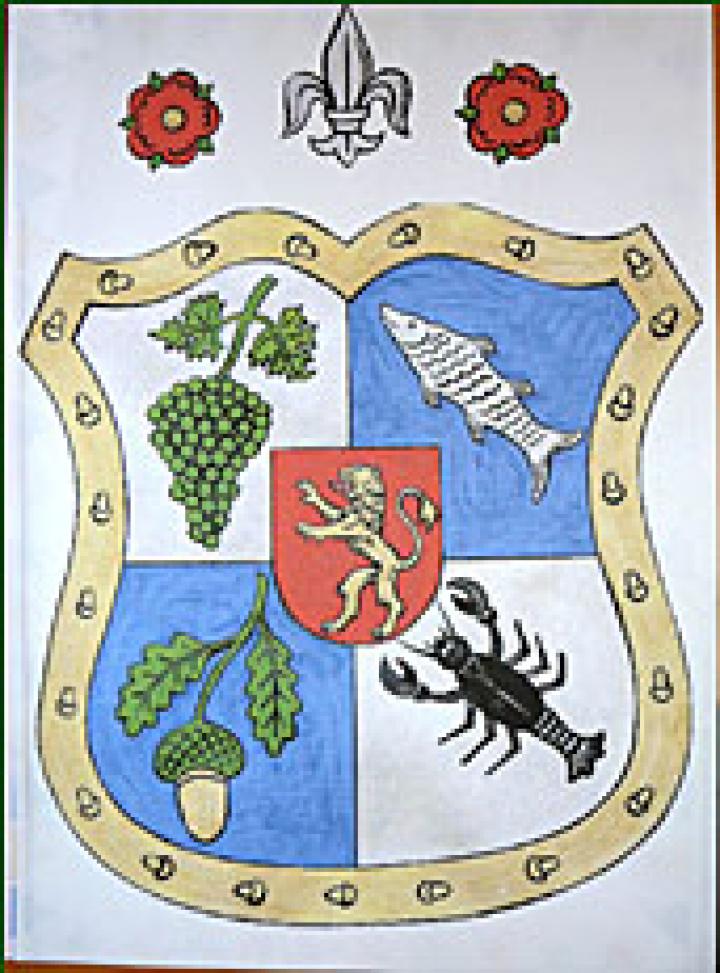 Nagyszőlős címere