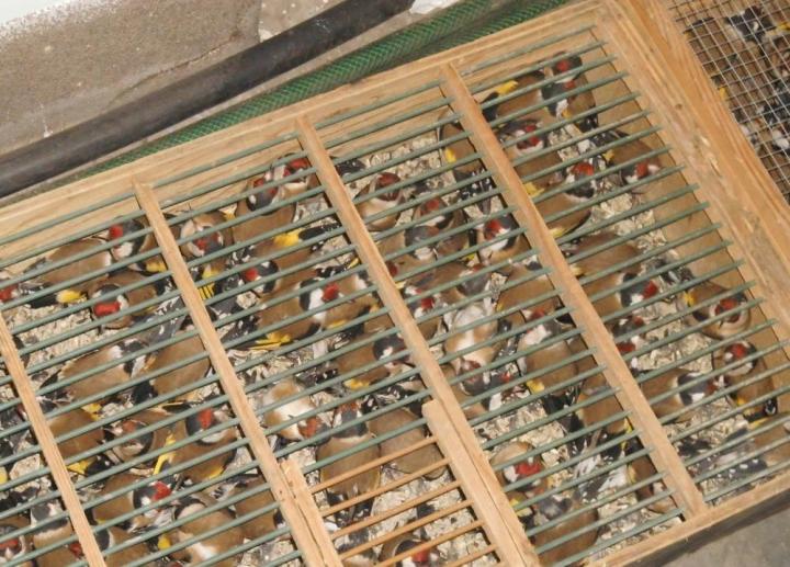 Fotó: facebook.com/Nemzeti Adó- és Vámhivatal